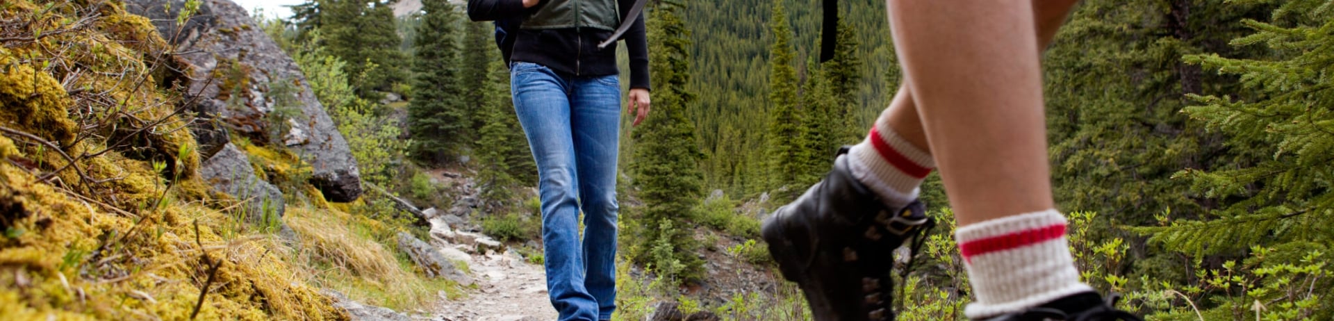 Blog-Walks on the Mild Side