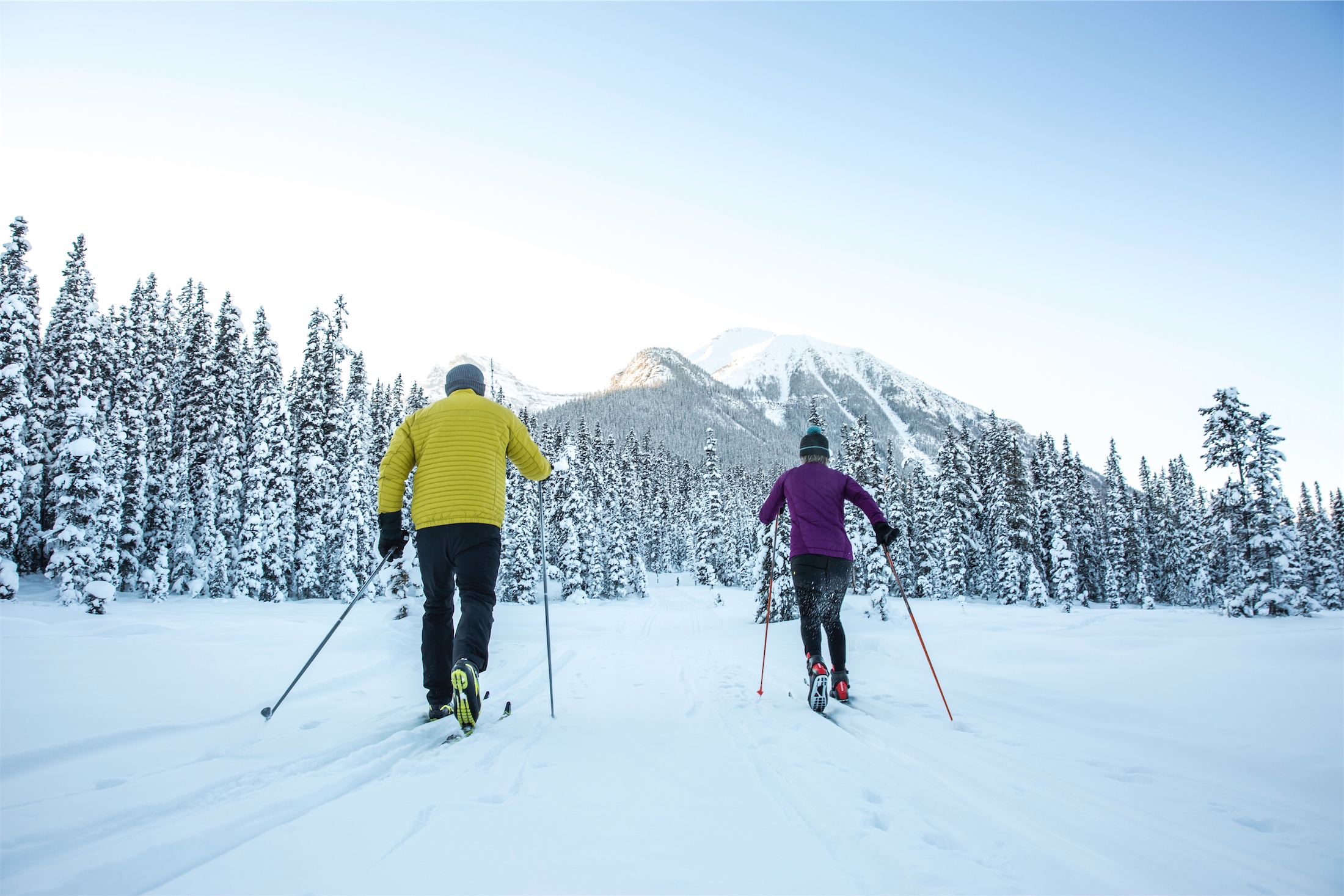 a couple cross country skiing