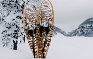 Two snowshoes stuck upright in snow by a fir tree
