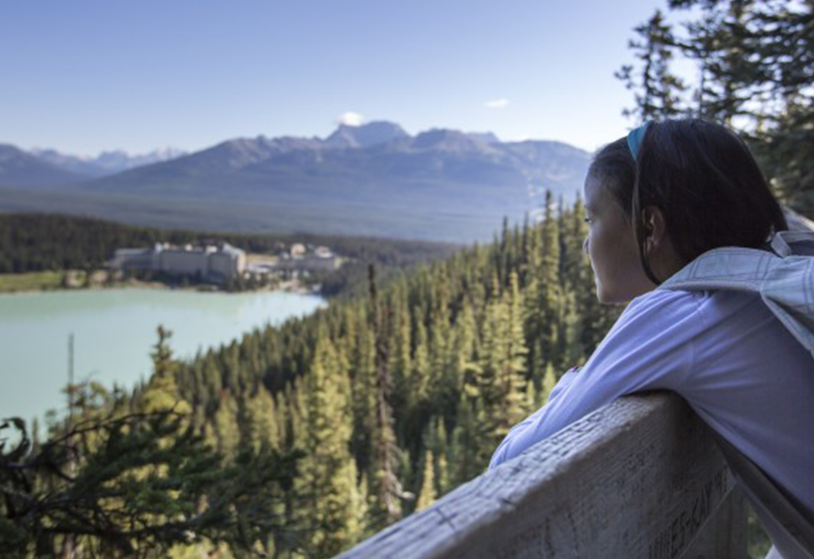 Hiker looking out over the forest
