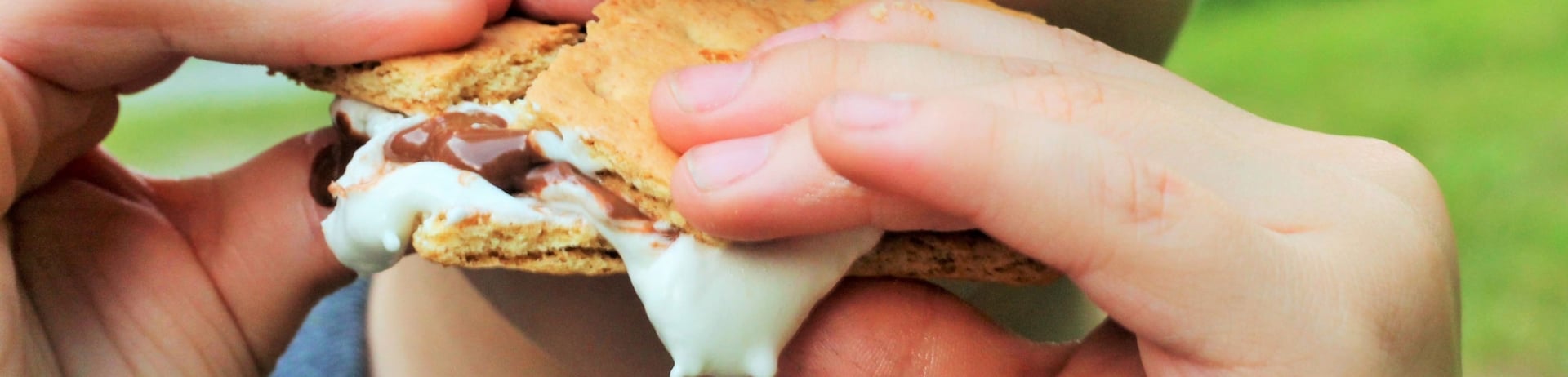 Campfire and S’mores