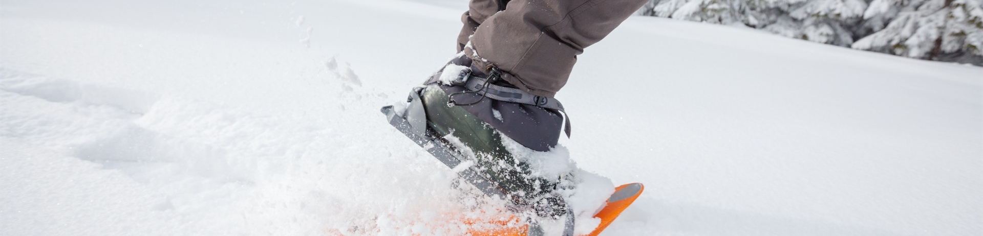 snowshoes in snow