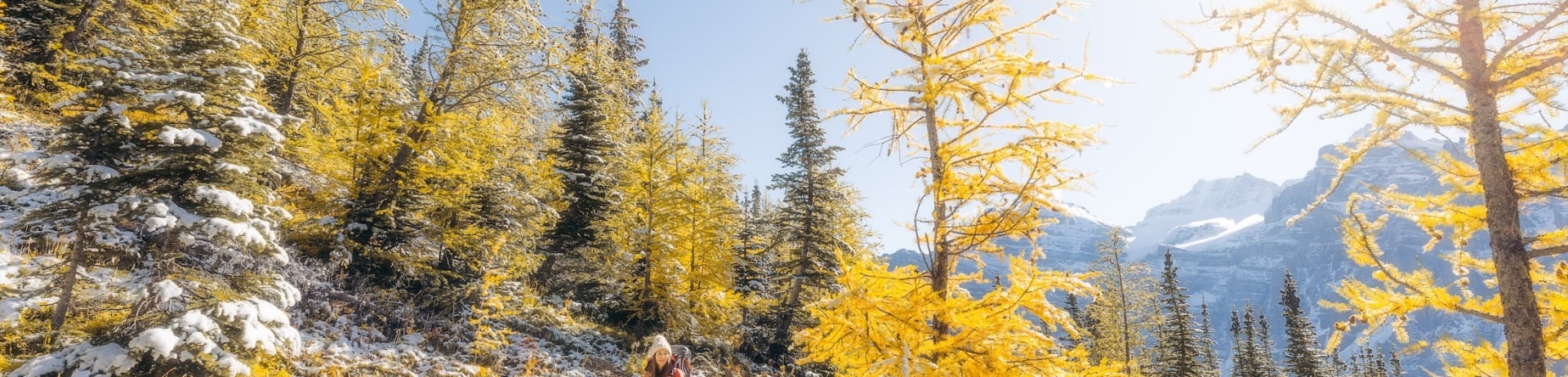 person hikes on trail through area of yellow trees