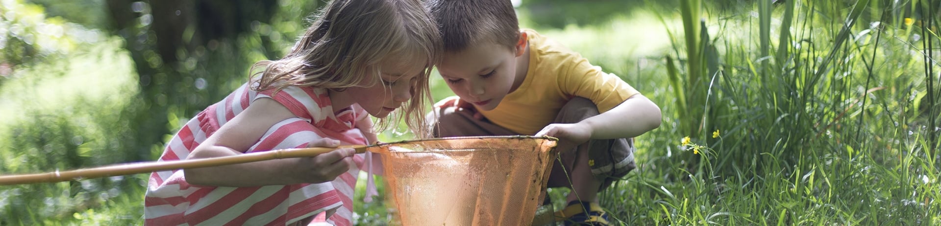 Two children looking into a net whilst couching on the grass