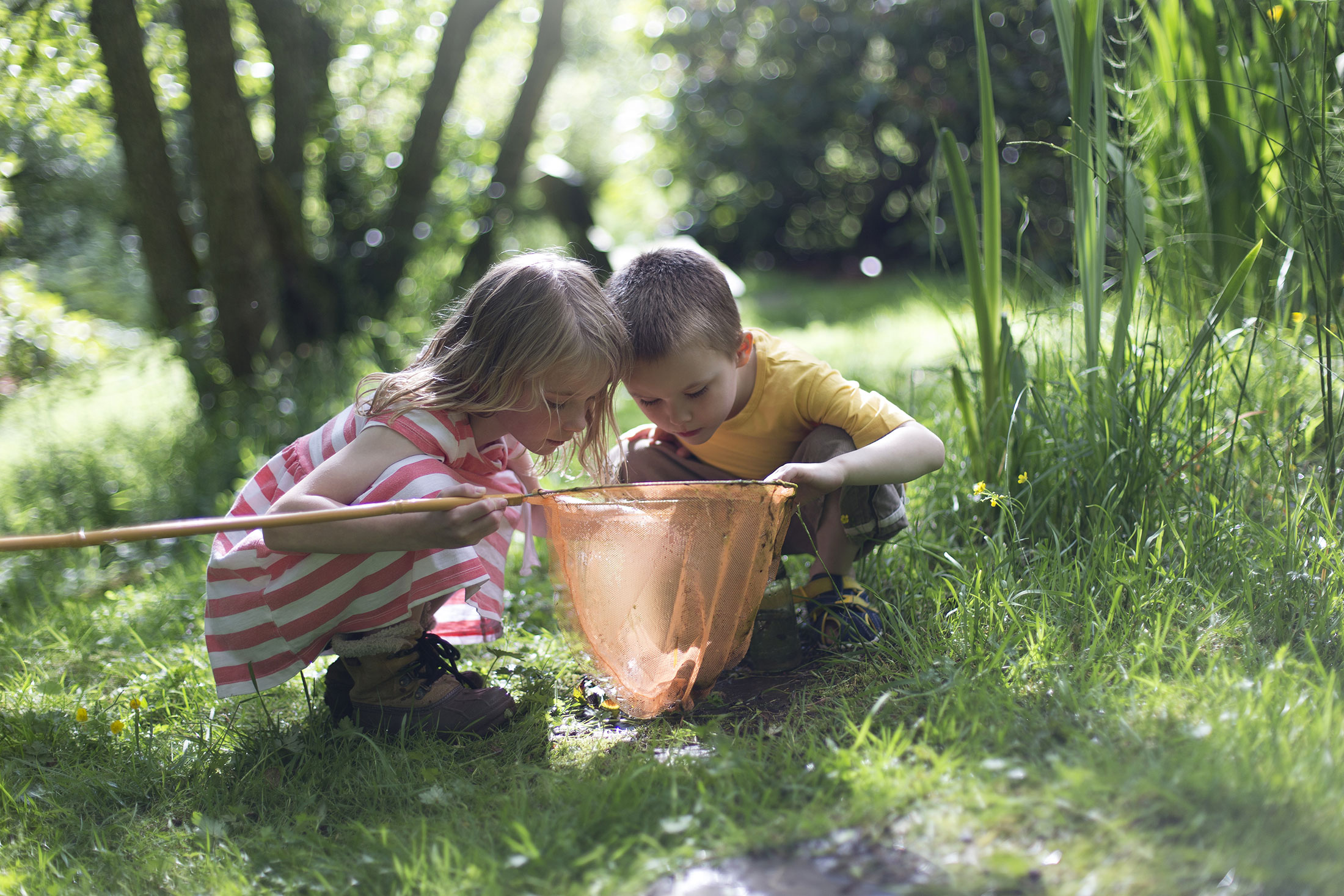 Two children looking into a net whilst couching on the grass