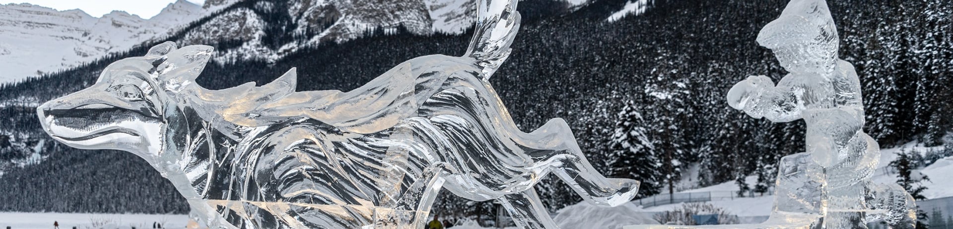 Lit up ice sculpture of a dog pulling a sled. Lake Louise Ice Magic Festival