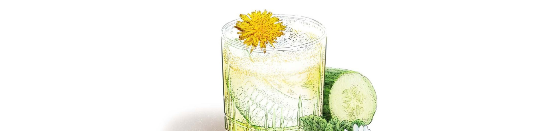 Non-Alcoholic Cocktail | Cucumber Cooler