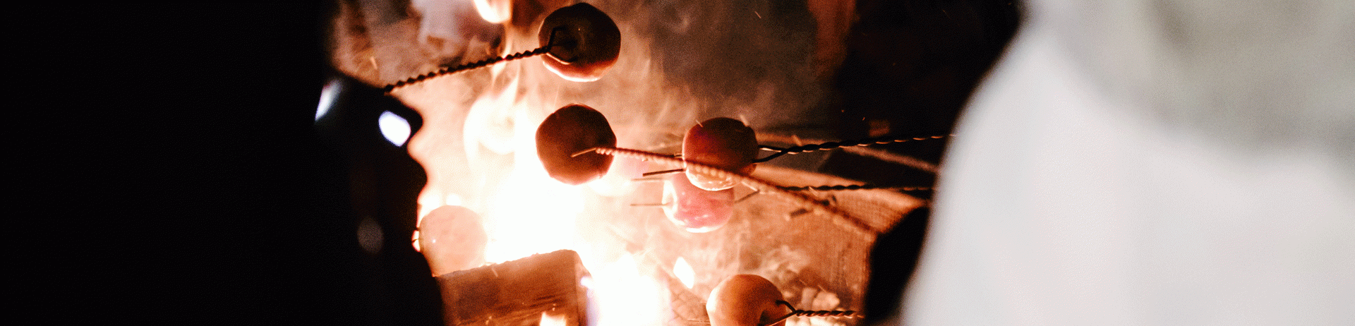 Group doing Apple Roast over campfire