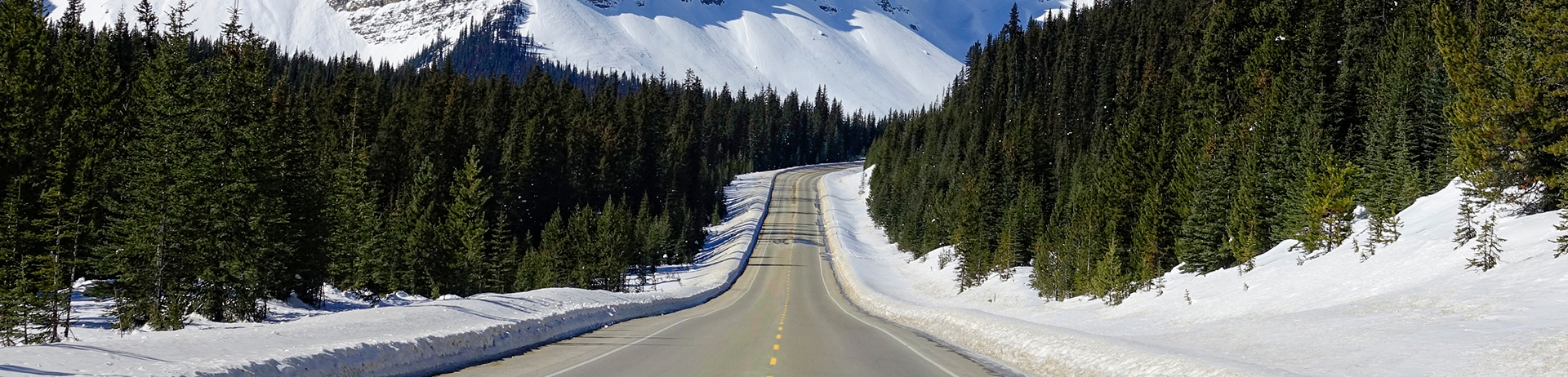 Road Trip through the Canadian Rockies this spring