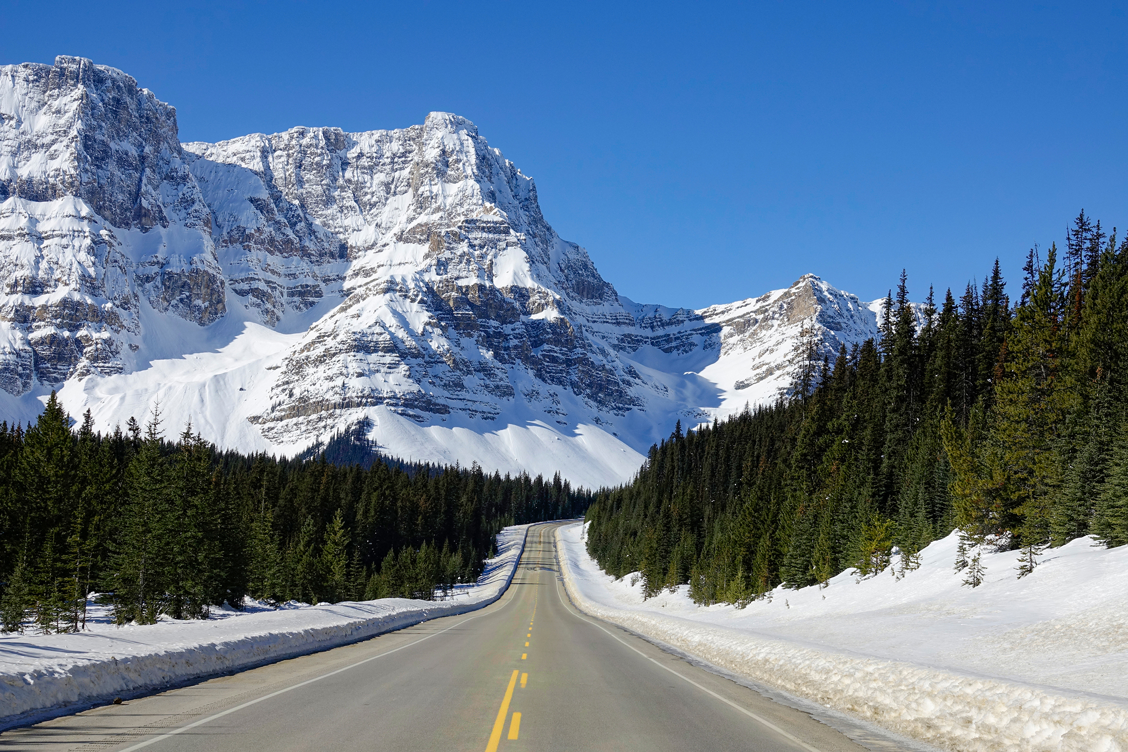 Road Trip through the Canadian Rockies this spring