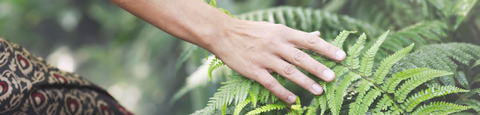woman's hand touching leaf in forest