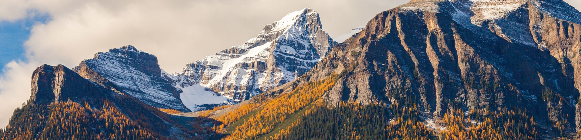 Tips for hiking Larch Trails in Banff National Park
