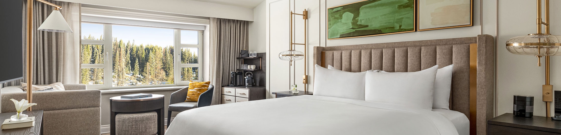 Deluxe King Accessible Room