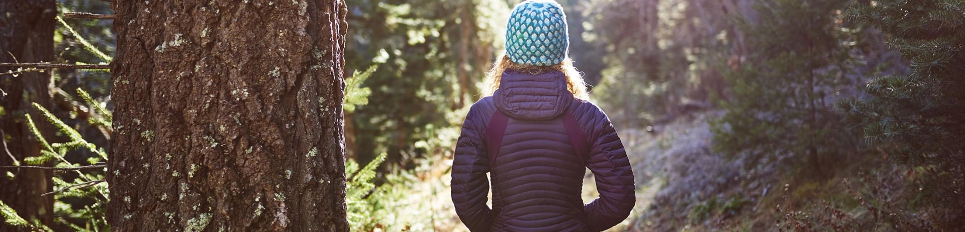 Forest Bathing along the trails of Lake Louise