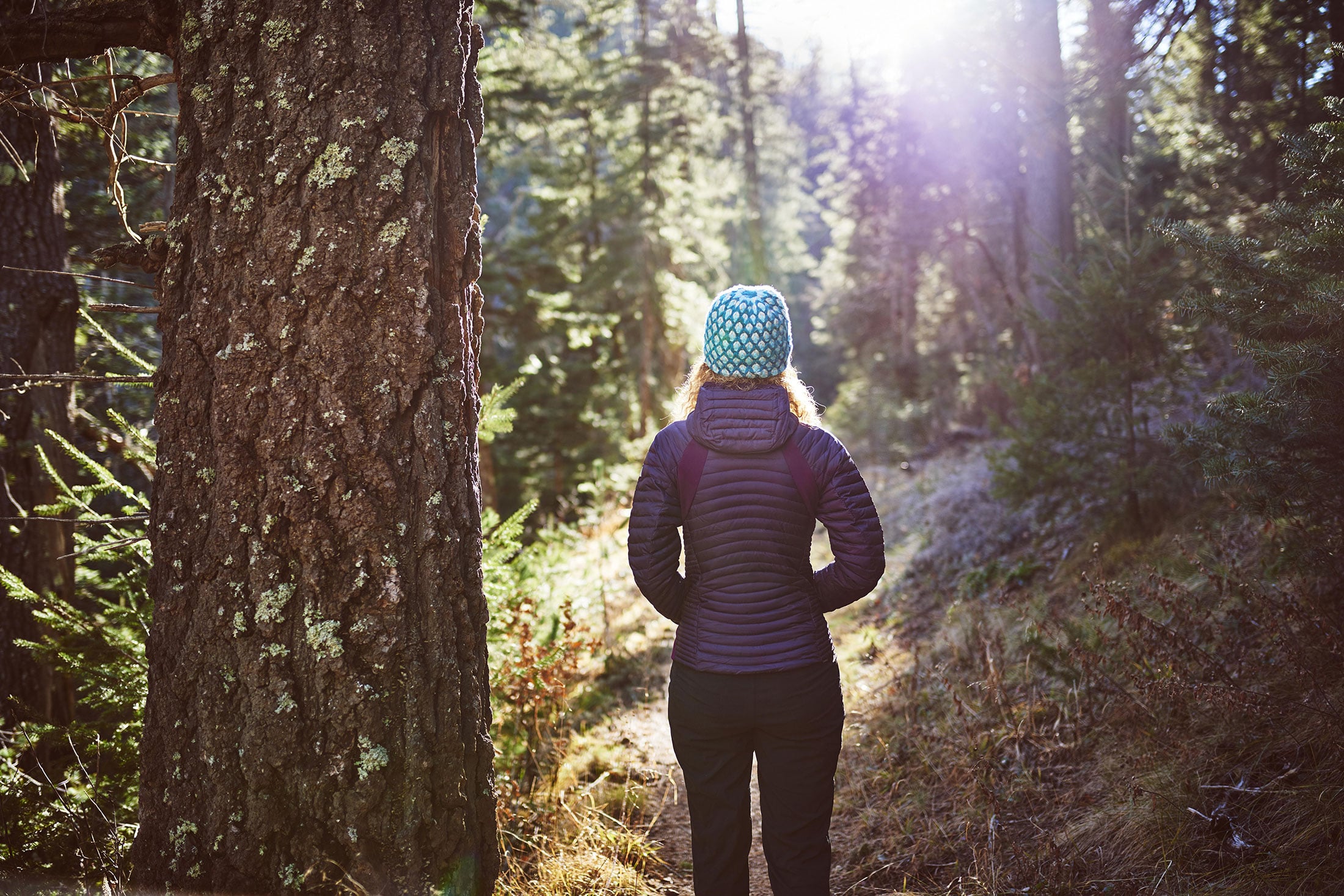 Forest Bathing along the trails of Lake Louise