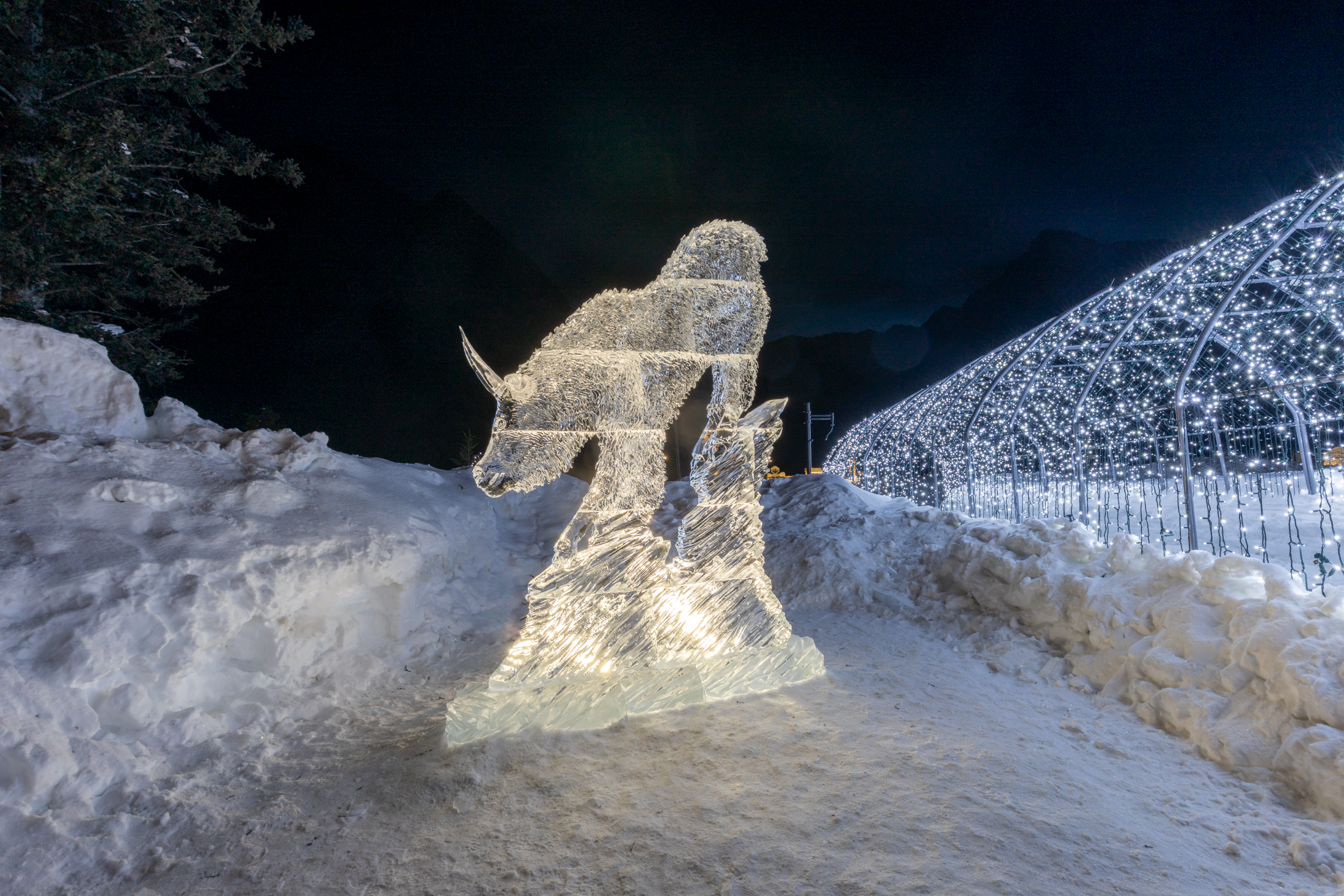 Ice sculpture of wildlife